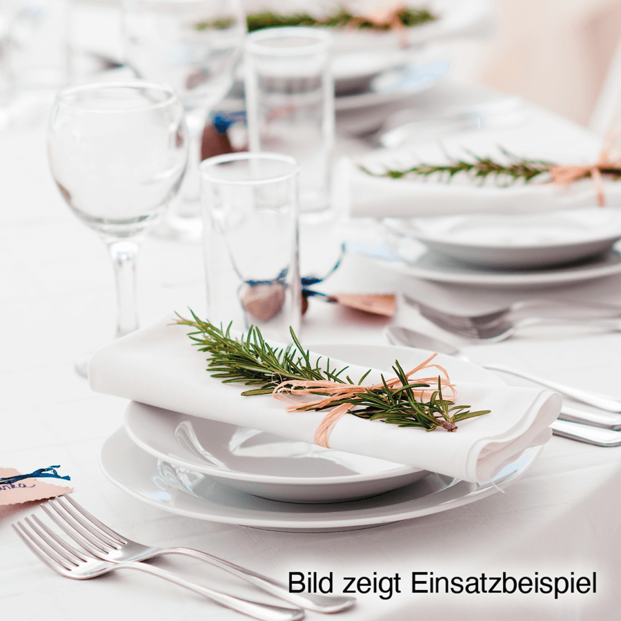 VL Gastro Booster, 10 Liter